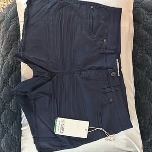 Brand new, carve Oahu twill cut off shorts